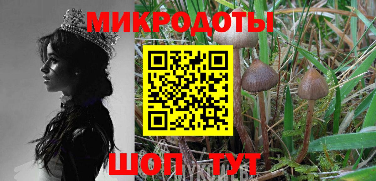 Псилоцибиновые грибы Psilocybe  Псилоцибиновые грибы Psilocybine cubensis  Зерноград  купить  цена  Вход с VPN 