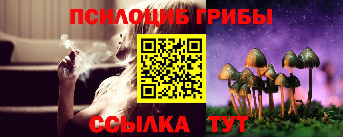 Галлюциногенные грибы мухоморы Зерноград
